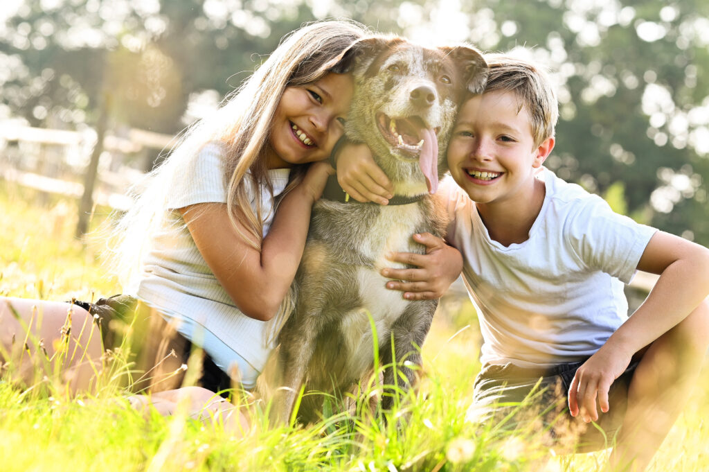 Kinder mit Hund auf Wiese beim Familien-Shooting
