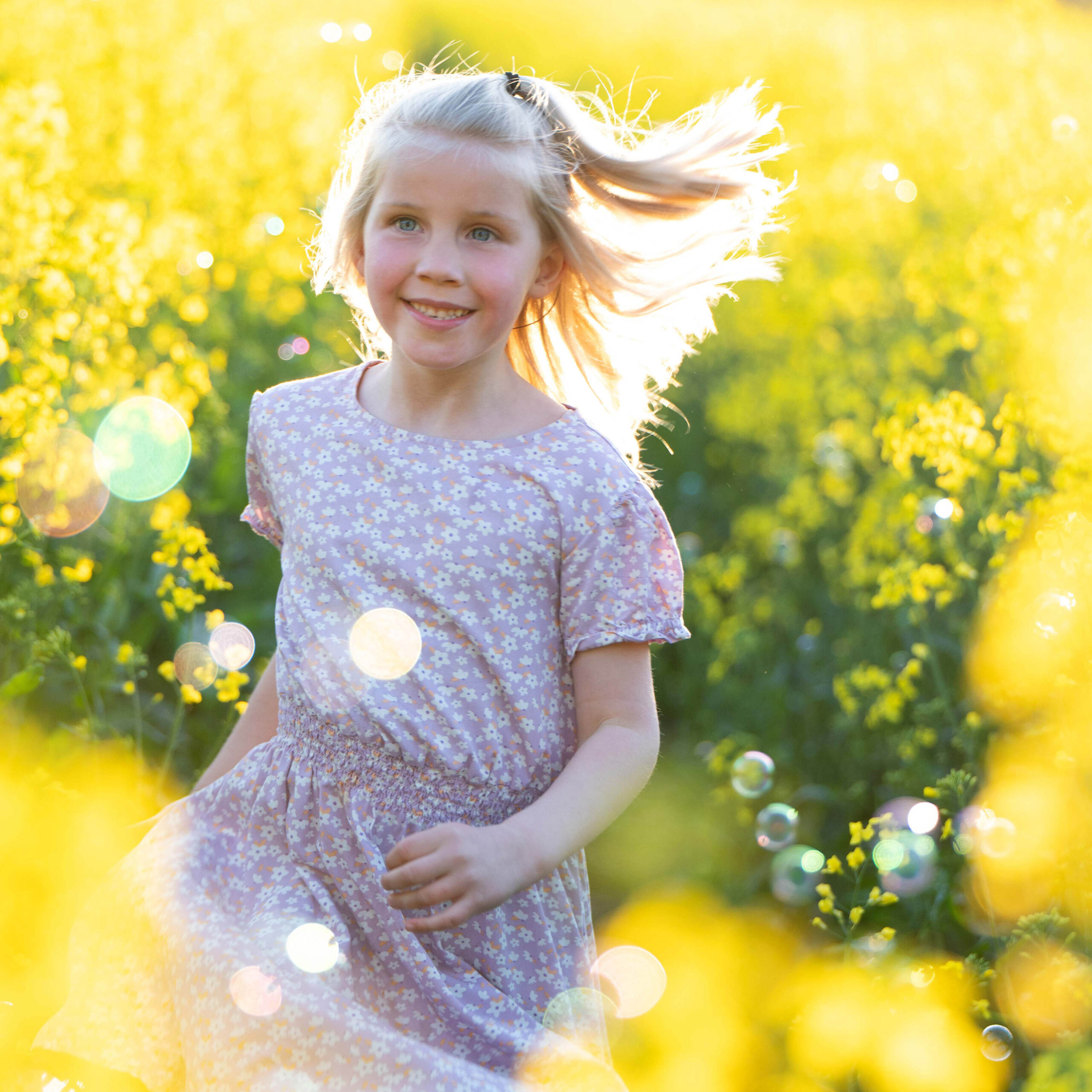 Image hover effect image